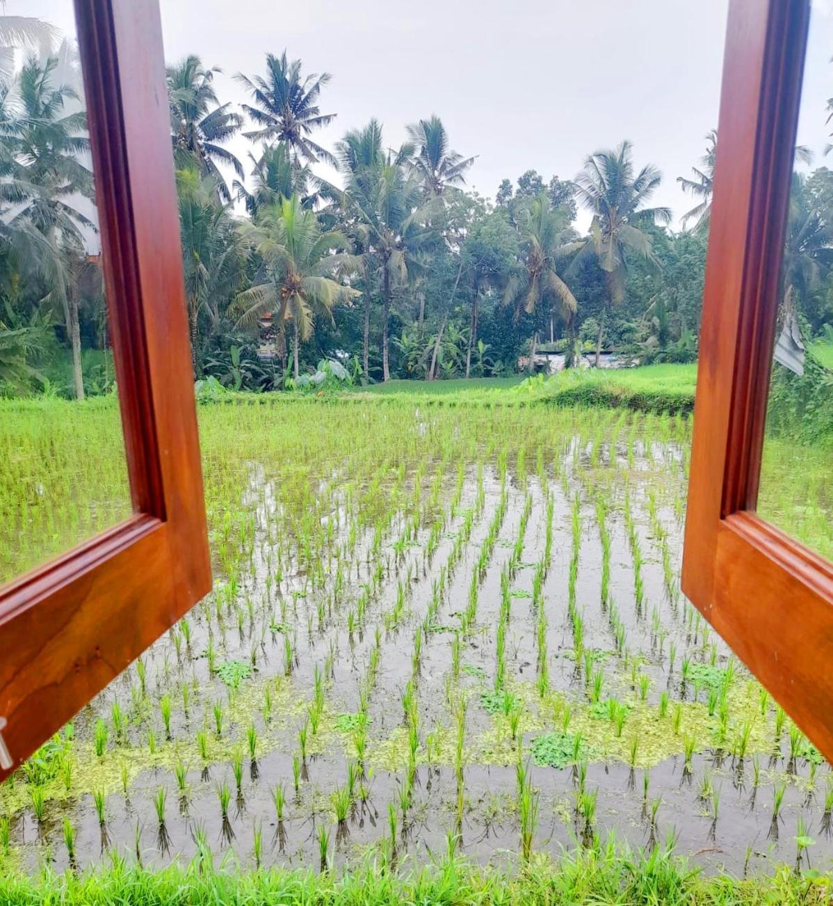As I Am Ubud Retreat Pokoj fotografie