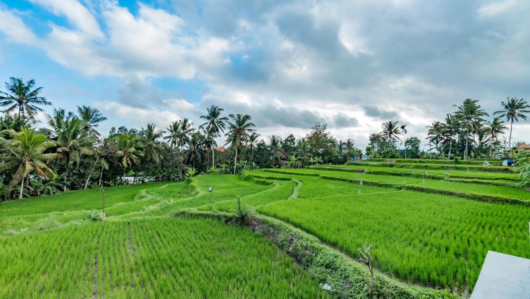As I Am Ubud Retreat Exteriér fotografie